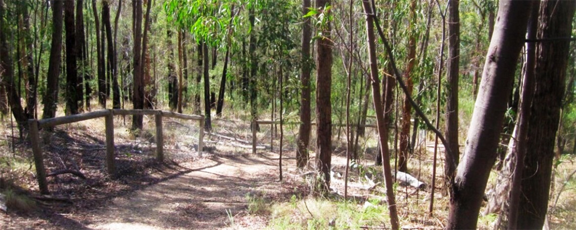 Hochkins Ridge Flora Reserve.jpg