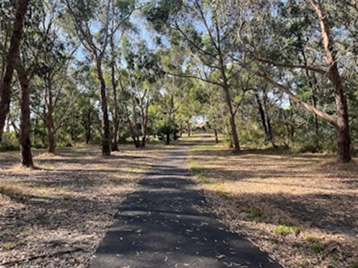 Walking path through nature reserve. Gum trees are scattered along either side of the path.