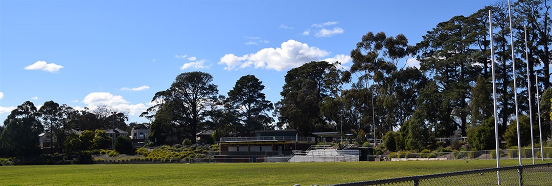 north ringwood tobacco North Ringwood Reserve