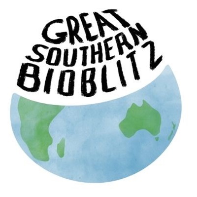 The Great Southern Bioblitz (banner).jpg