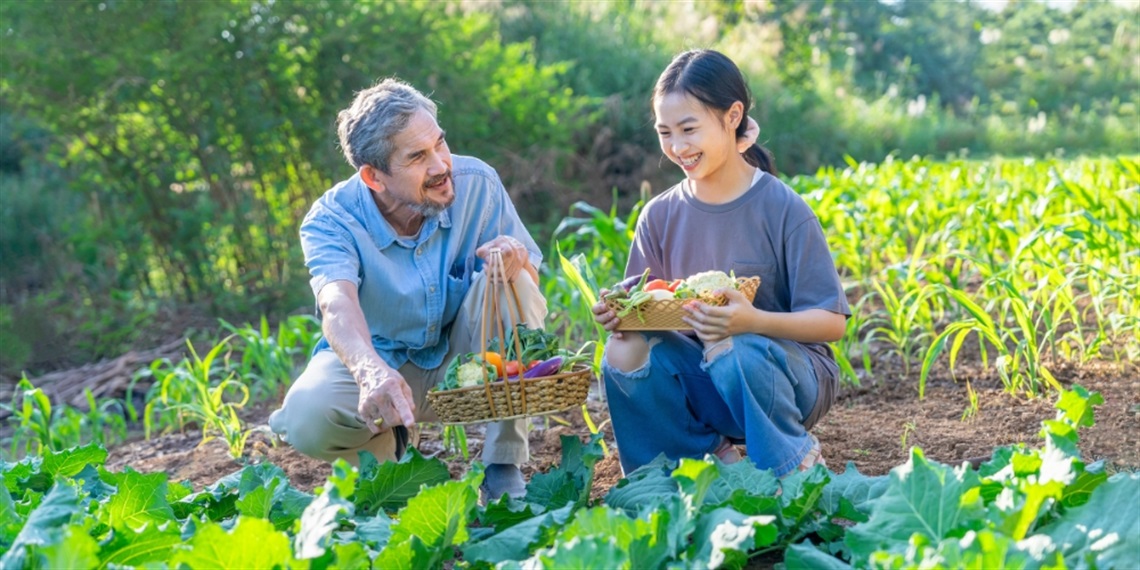 Older man and young person working in a garden