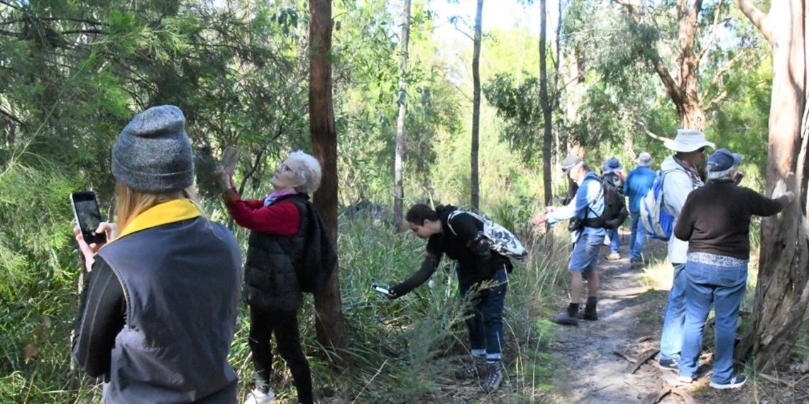Community members using the iNaturalist app on their phones to register plants in a reserve