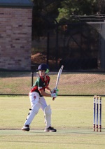 Cricket.jpeg