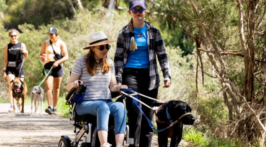 People walking their dogs along a trail. One person is in a wheelchair.