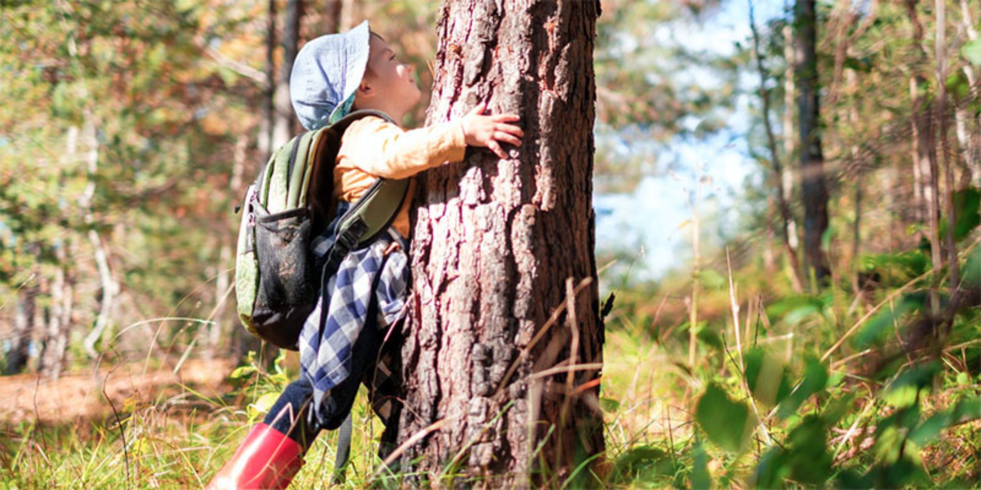 Child exploring nature and touching a tree in a bushland setting.