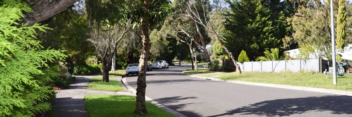 streettrees-landing.jpg