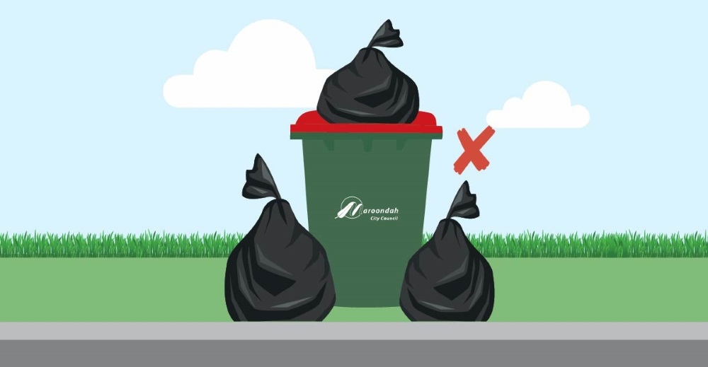 Do not place excess waste on top of or beside bin