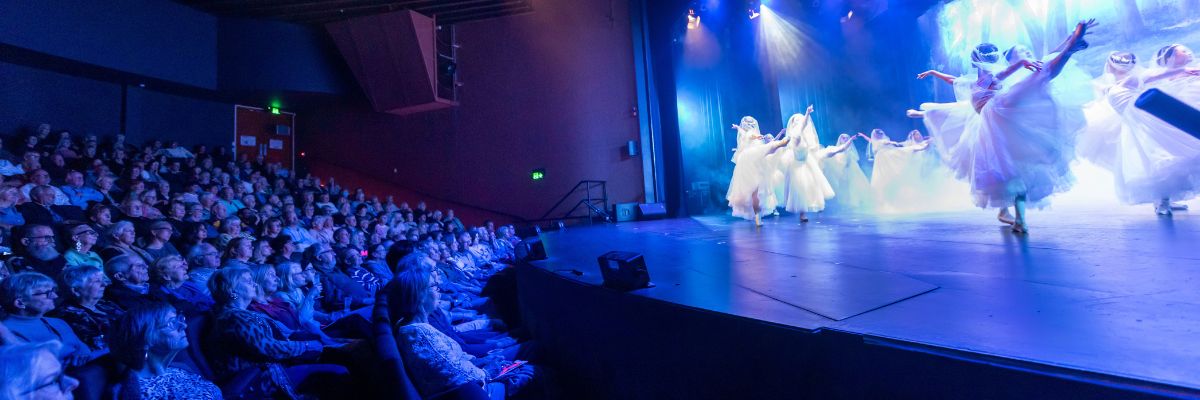 audience watching stage show