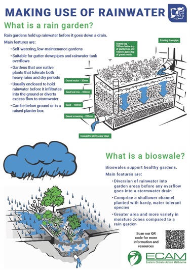 Overview of a residential rain garden