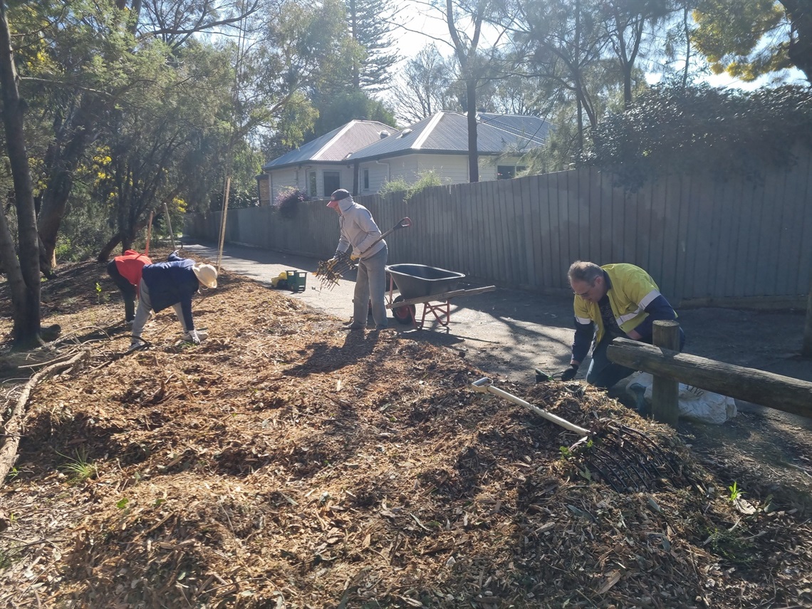 Ringwood-Lake-Mulching