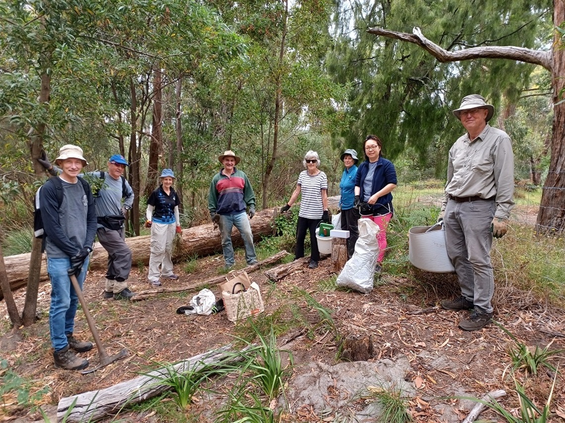 Wombo-working-bee-2024