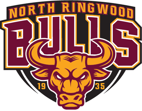 BULLS_LOGO